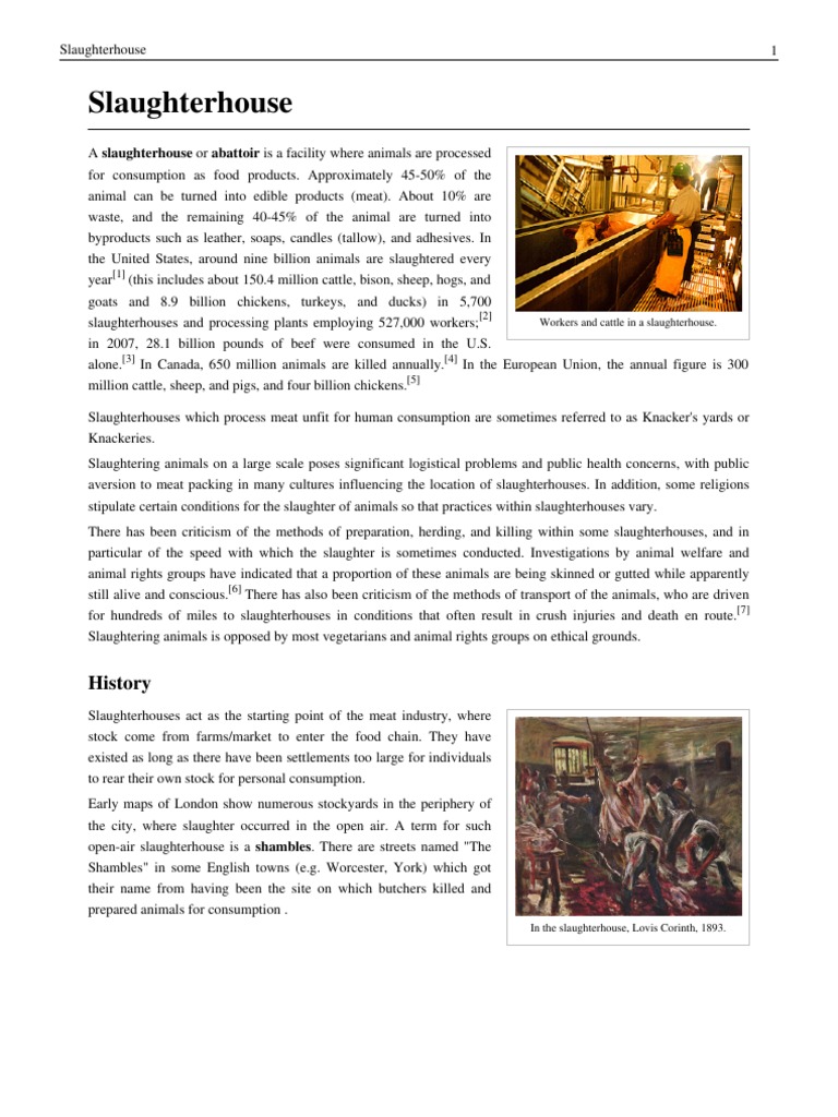 Slaughter House | PDF | Slaughterhouse | Animal Slaughter