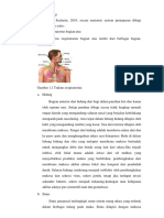 Anatomi  Fisiologi pneumonia.docx