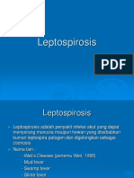4 Leptospira