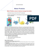 Common Properties of Motor Proteins