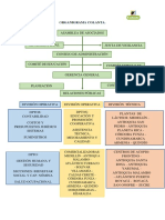 Organigrama Colanta PDF
