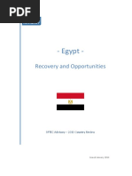 SPTEC Advisory - Egypt 2013 News Review