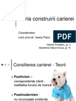 Consilierea in Cariera-Construction Theory