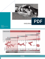 Maduracion Pulmonar