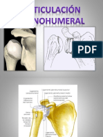Articulación Glenohumeral: Anatomía, Luxaciones y Pruebas Clínicas