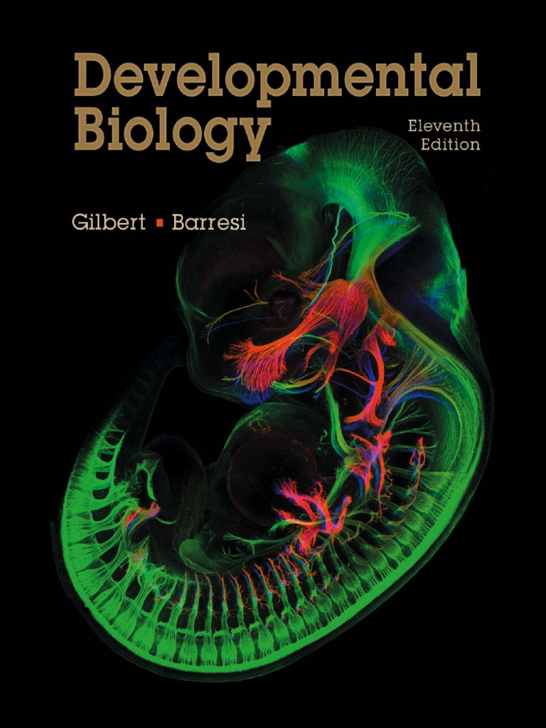 Developmental Biology | PDF | Reproduction | Biological Processes