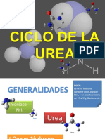 Ciclo Urea