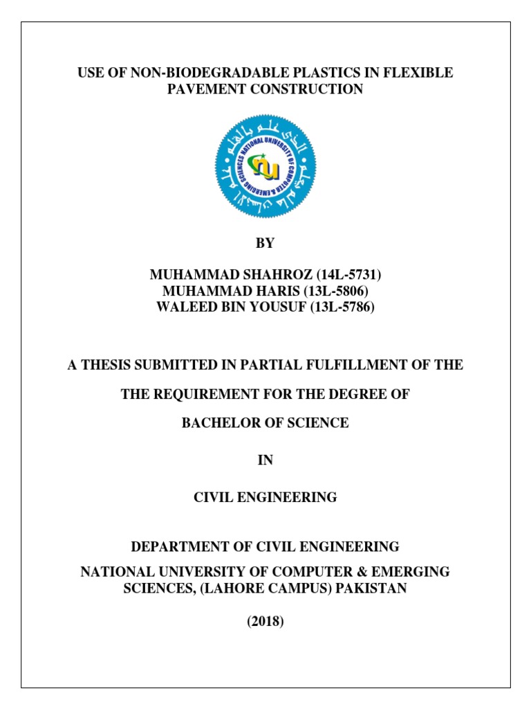 bsc dissertation