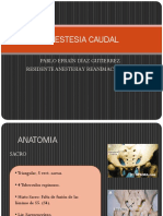 ANESTESIA CAUDAL.pptx