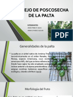 Manejo de Poscosecha de La Palta