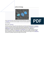 Foundations of Modern Biology: Cell Theory