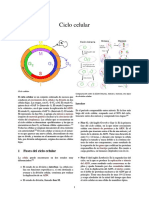 Ciclo celular.pdf