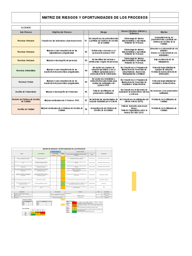 Matriz de Riesgos y Oportunidades ISO 9001 | PDF | Calidad (comercial ...