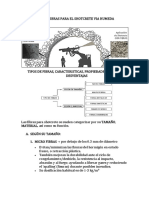 TIPOS DE FIBRAS PARA SHOTCRETE.docx