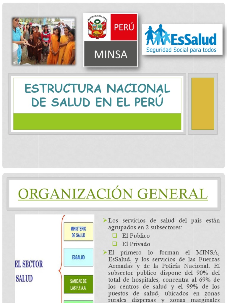 Estructura del Sistema de Salud en Perú | PDF | Seguro | Perú