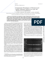 Identification of Lipoprotein Homologues of Pneumococcal PsaA in The Equine Pathogens Streptococcus Equi and Streptococcus Zooepidemicus