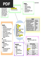 Concept Map Pyelonephritis
