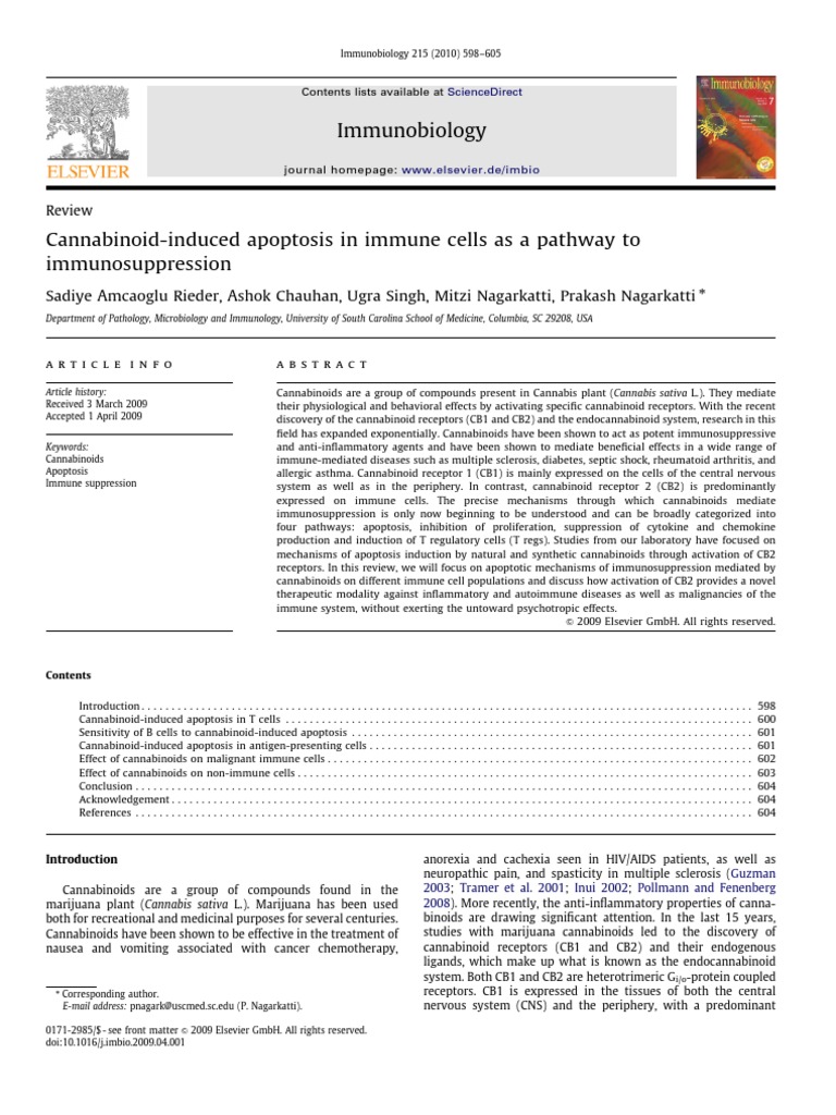 Cannabinoids and Immune Cell Apoptosis | PDF | Apoptosis ...