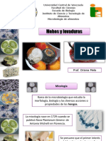 Mohos y Levaduras PDF