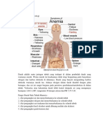 Anatomi dan Fisiologi Darah pada Anemia