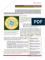 Química curso 0