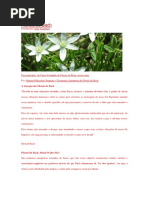FLORAIS DE BACH.docx