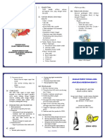 LEAFLET ANYAR ISPA.docx