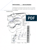 Estrutura Dos Instumentos de Cordas PDF