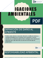 Obligaciones Ambientales