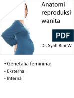 Anatomi reproduksi wanita: Genetalia feminina
