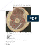 POZE SECTIUNI MEMBRE.doc