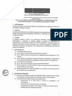 DIRECTIVA-Anexo-Resolucion-N-106-2017.pdf