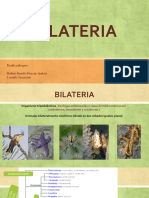 BILATERIA