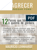 12 PASSOS QUE IMPEDEM O EMAGRECIMENTO.pdf