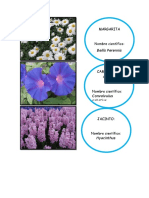 flores y nombre cientifico.docx