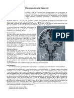 neuroanatomia_basica.pdf