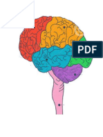 Mapa Do Cerebro