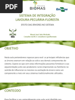 AULA 15_SISTEMA  INTEGRAÇÃO LAVOURA-PECUARIA-FLORESTA _EFEITO DAS ARVORES.pdf