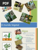 REINO PLANTAE.pdf