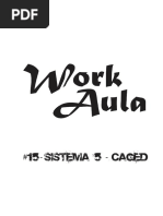 Workaula 15 - Sistema 5 - CAGED.pdf