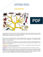 Sistema Oseo 2