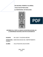 Informe Del Museo de Unmsm