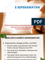 192031439-KOMITE-KEPERAWATAN-kalbar.ppt