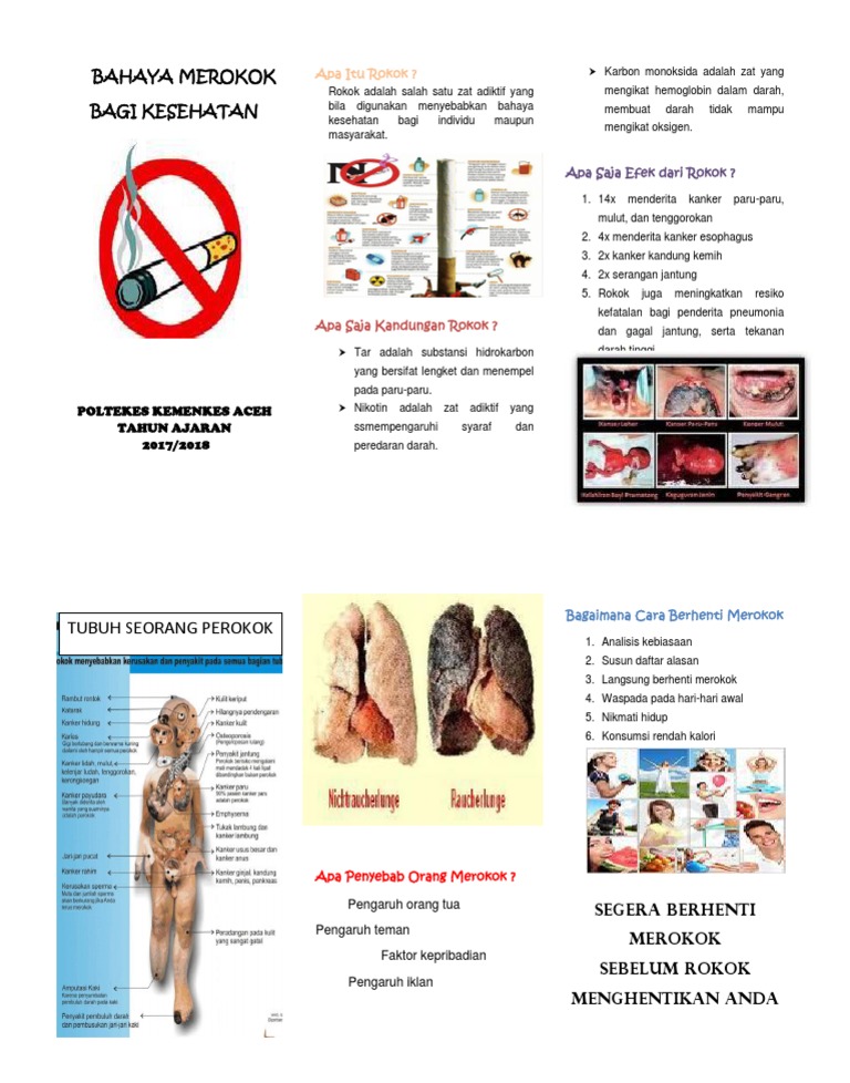Bahaya Merokok bagi Kesehatan | PDF | Pengembangan Diri