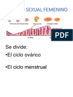 El Ciclo Sexual Femenino