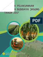 Juknislak Kegiatan Budidaya Jagung Tahun 2017