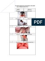 Nama - Nama Penyakit Dalam Bahasa Inggris