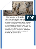 Pistola Temarios Curso Argentina