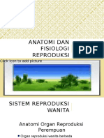 anatomi reproduksi