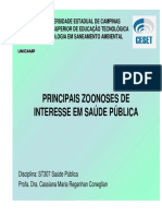 Principais zoonoses transmitidas por animais domésticos e silvestres